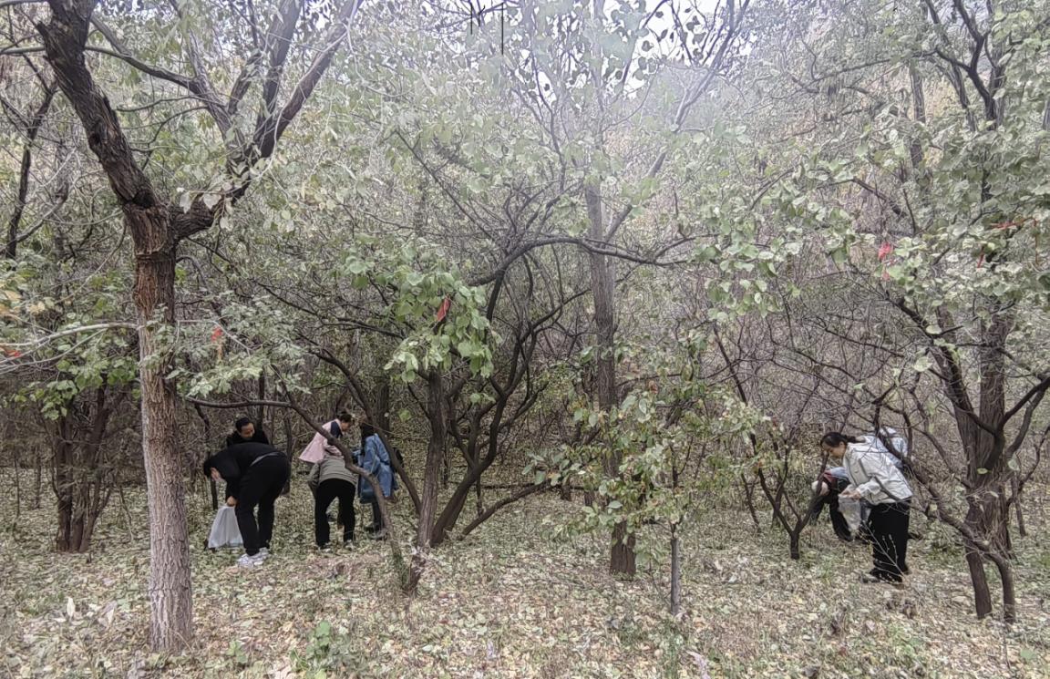 467e55b0abf7c32a7e8f50cdeafd9db